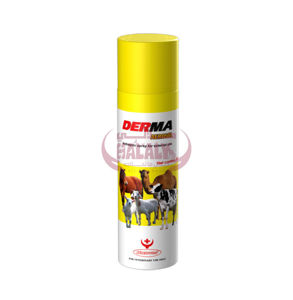 Picture of Derma Aersol
