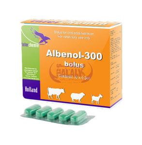 Picture of Albendazole 300mg