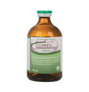 Picture of Glucosamin Ceva